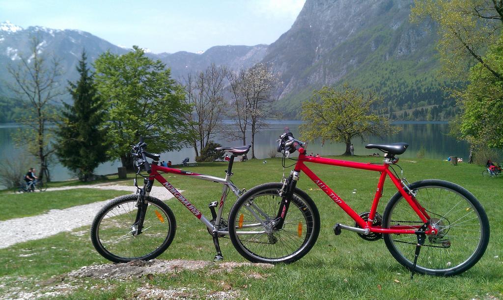 Apartment Bohinjko Pokoj fotografie